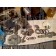 Wagner PV100-12V Adjustable Flow Rate Reversing S50 Pumpset Rebuild Service ONLY ...Rebuild