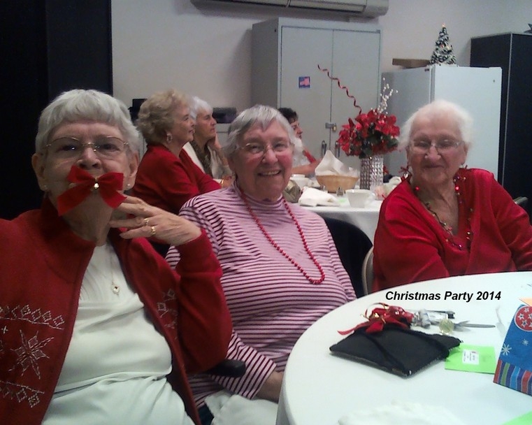 Lyn having Fun with Neighbors at Amesbury Christmas Party 2014